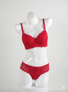 Premium Padded Red Bra & Panty Set
