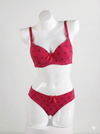 Premium Padded Red Bra & Panty Set